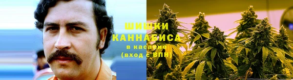 шишки Бронницы