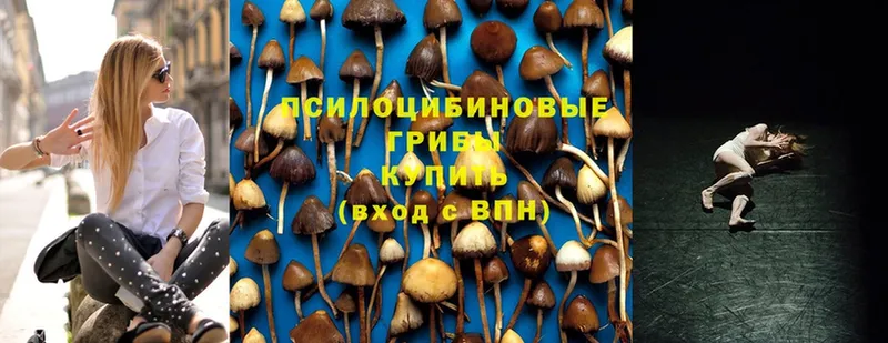 где купить наркоту  Югорск  Псилоцибиновые грибы MAGIC MUSHROOMS 